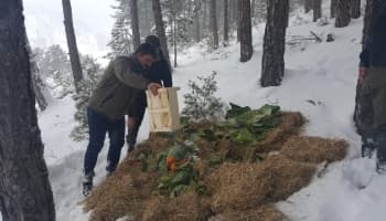 Sakarya'da yaban hayvanlarına yiyecek bırakıldı