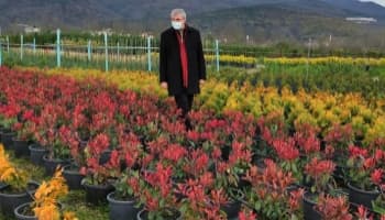 Sakarya tıbbi ve aromatik bitkilerin üretim merkezi olacak