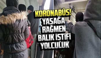 Koronabüste balık istifi yolculuk
