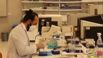 Komşuda yeni mutant görüldü