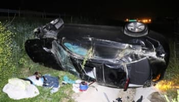 Lüks otomobil domuza çarpıp şarampole uçtu: 6 yaralı