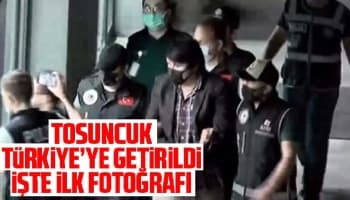 Tosuncuk Türkiye’ye getirildi; İşte ilk fotoğrafı