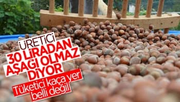 Fındıkta üreticinin taban fiyat beklentisi en az 30 lira