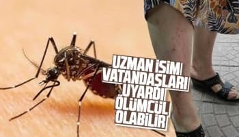 Uzman isim vatandaşları uyardı: Ölümcül olabilir