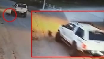 Kan donduran olay; Köpeği ezip kaçtı