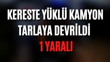 Kereste Yüklü Kamyon Tarlaya Devrildi : 1 Yaralı