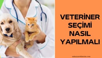 Veteriner Seçimi Nasıl Yapılmalı?