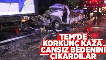 TEM'de arıza yapan tıra çarptı: 1 ölü