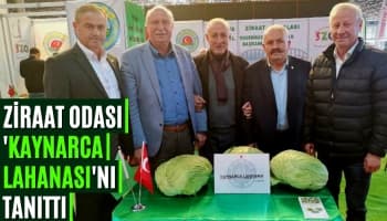 Ziraat Odası 'Kaynarca Lahanası'nı Tanıttı