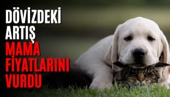 Dövizdeki Artış Mama Fiyatlarını Vurdu
