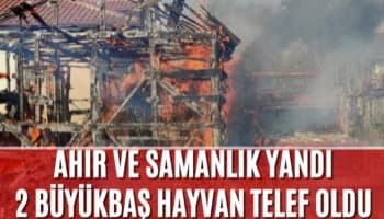 Akyazı'da Ahır Yangınında İki Büyükbaş Hayvan Telef Oldu