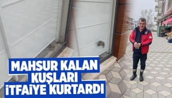 Akyazı'da kuş kurtarma operasyonu