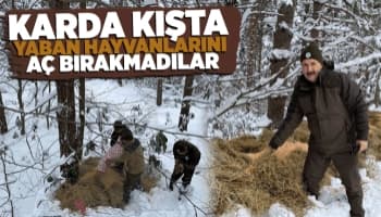 Yaban hayvanlarına 12 bin 900 kilo yiyecek bırakıldı