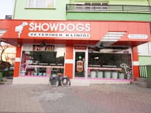 Marmara Bölgesi'nin En Büyük Köpek Çiftliği Açıldı