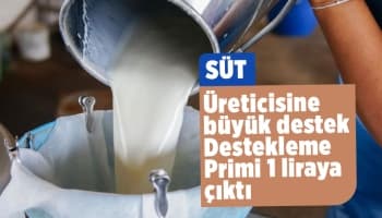 Çiğ süt destekleme primi 1 liraya yükseldi