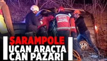 Hafif ticari araç şarampole uçtu