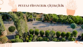 Toprakla Buluşan Her Alan İçin Peyzaj