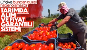 Çiftçilere müjde: Alım ve fiyat garantili sistem yolda