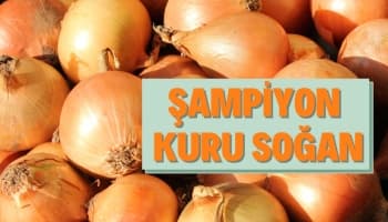Zam Şampiyonu; Kuru Soğan