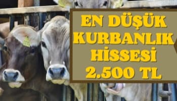 Ramazandaki Kırmızı Et Desteğinin Devamlılığı İsteniyor. Kurbanlık temininde sıkıntı olmayacak.