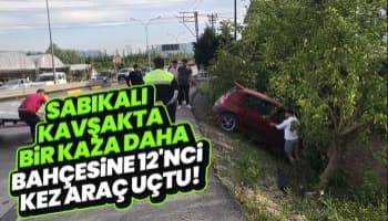 Bu bahçe, 12 uçan araç gördü!