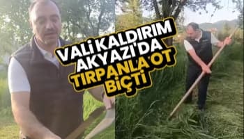 Vali Kaldırım tırpanla ot biçti