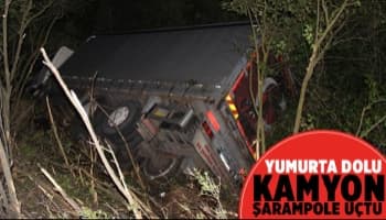 Yumurta dolu kamyon şarampole devrildi