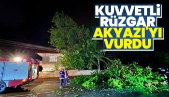 Kuvvetli rüzgar Akyazı'da ağaçları devirdi