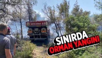 Bilecik-Sakarya sınırında orman yangını