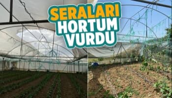 Hortum seraları yıktı