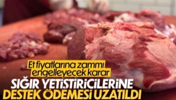 Sığır yetiştiricilerine destek süresi uzatıldı