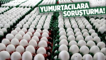 Yumurta üreticilerine Rekabet soruşturması