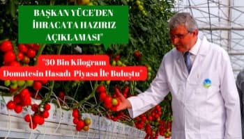 İlk ürünler tezgahlarda : Bereketli bir hasatla 30 bin kilogram alındı