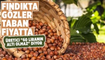 Fındıkta beklenti 60 lira üzeri