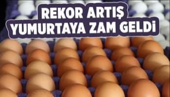 Yumurta fiyatlarına rekor zam