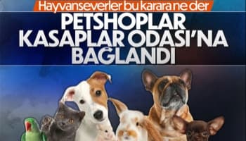Petshoplar Kasaplar Odası'na bağlandı