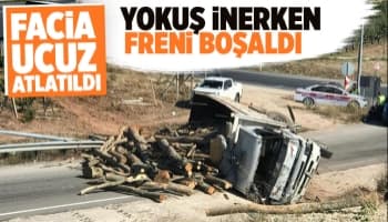 Freni boşalan tomruk yüklü kamyon devrildi