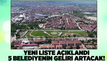 Sakarya'da 5 ilçe belediyesi 1. Lig'e çıktı!