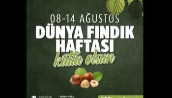Sakarya’da Dünya Fındık Haftası için büyük organizasyon