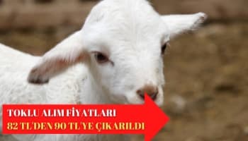 Toklu Alım Fiyatları 82 TL'den 90 TL'ye Çıkarıldı