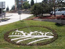 Sakarya'da Kavşaklar Çiçek Açtı 