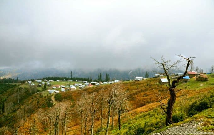 Sakarya'nın en zirvesinde bir yayla: Dikmen Yaylası