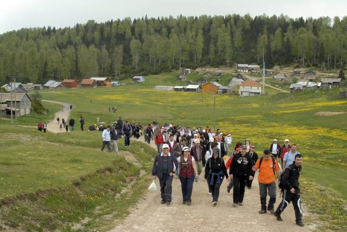 Sakarya'nın en zirvesinde bir yayla: Dikmen Yaylası