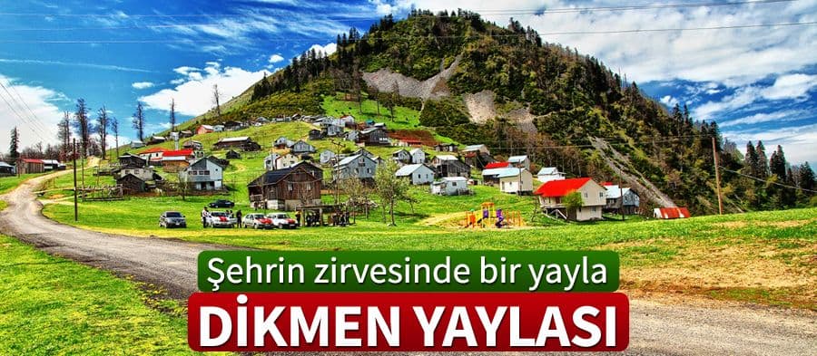 Sakarya'nın en zirvesinde bir yayla: Dikmen Yaylası
