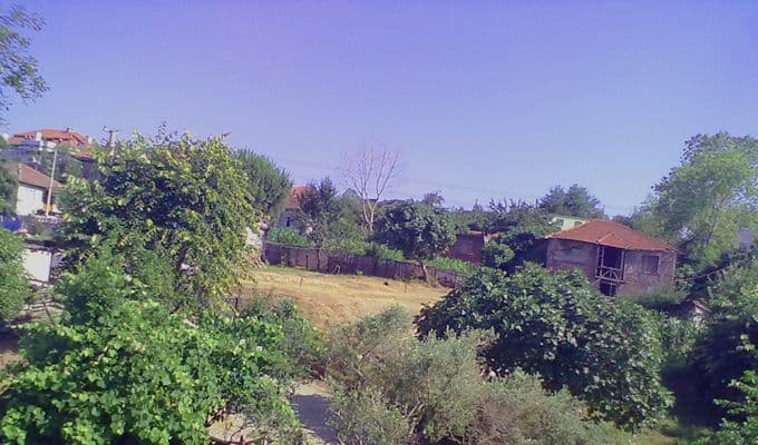 Melenağzı
