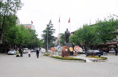 <p><font face="verdana,geneva" size="2">İl&ccedil;e, eski E-5 yeni adı ile D-100 Karayolu &uuml;zerinde İstanbul&acute;a 170 km, Ankara&acute;ya 275 km. Adapazarı&acute;na 30 km. kurulmuştur. TEM Otoyolu da g&uuml;neyinden ge&ccedil;ip </font><font face="verdana,geneva" size="2">deniz seviyesinden y&uuml;ksekliği 175 metredir. 6300 hektar alana yayılan il&ccedil;enin bug&uuml;nk&uuml; n&uuml;fusu 25.220 olup, 200.000 n&uuml;fusu barındırabilecek Dikmen - Balkaya </font><font face="verdana,geneva" size="2">mevkiinden getirilen memba sularına sahiptir.</font></p><p><font size="2"></font><br /><font face="verdana,geneva" size="2"><strong>Bitki &Ouml;rt&uuml;s&uuml;:</strong> İl&ccedil;emizin % 50&rsquo;si,&nbsp; 29.500 hektar koru ve baltalık orman alanı ile kaplı olup, bunun 22.900 hektarı koru ormanı, 6.600 hektarı da baltalık </font><font face="verdana,geneva" size="2">ormanı, 28.600 hektar da diğer alanları kapsamaktadır. Tarımsal sahalarda en fazla &uuml;retilen bitkilerin başında tahıl gelmektedir. (%51 mısır, %44 buğday) </font><font face="verdana,geneva" size="2">İkinci sırada %2.8 şeker pancarı bulunmakta olup, %2.2 oranında t&uuml;t&uuml;n &uuml;retimi de mevcuttur. 141.000 d&ouml;n&uuml;m arazide fındık &uuml;retimi, 5000 dekar arazide ise </font><font face="verdana,geneva" size="2">sebze &uuml;retimi yapılmaktadır.<br /><br /><strong>Akarsular:</strong>&nbsp; İl&ccedil;emizin &ouml;nemli akarsuları Dilsiz &Ccedil;ayı, Uludere ve Aksu Deresidir. <br /><br /><strong>İklimi:</strong>&nbsp; Marmara ve Batı Karadeniz B&ouml;lgelerinin ge&ccedil;iş noktasında olan il&ccedil;emizde, Batı Karadeniz iklimi hakimdir. Yazları kısa ve sıcaktır. Kışları uzun, </font><font face="verdana,geneva" size="2">karlı ve bol yağışlı ge&ccedil;er.&nbsp;</font></p>