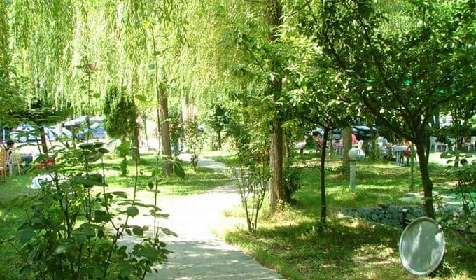 Kırkpınar büyülüyor!