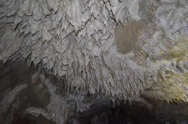 Söğütlü Mağarası turizme kazandırılacak