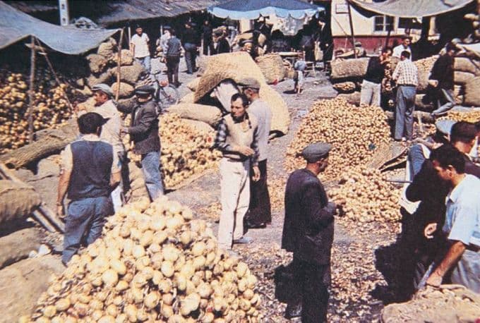 Bir zamanlar Adapazarı