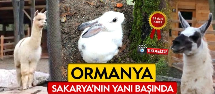 Ormanya: Sakarya'nın yanı başında